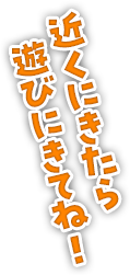 はなかっぱ